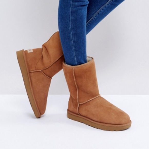 uggs classic short chestnut